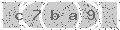 verify code